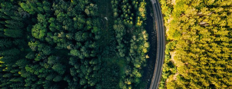 Arial view of a winding road in between a dense forest